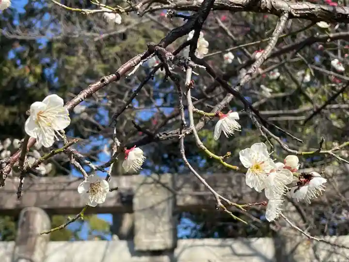 近津神社(福岡県)