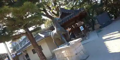 藤森神社の狛犬