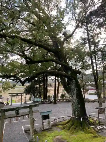 事任八幡宮(静岡県)