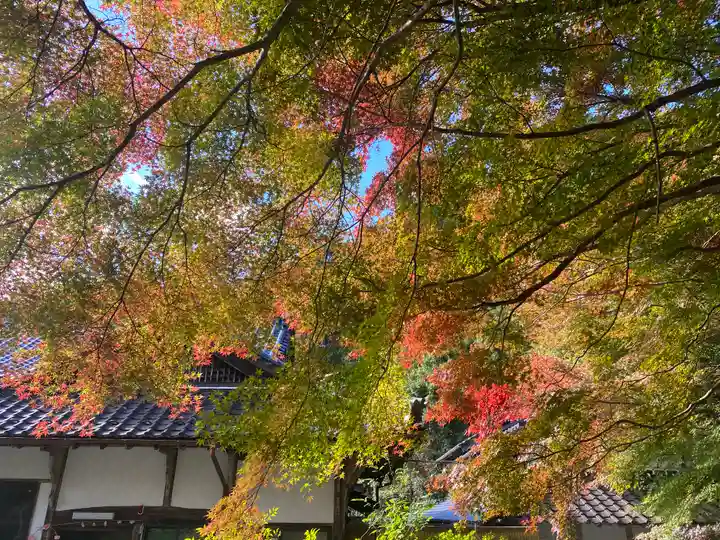 高山寺(兵庫県)