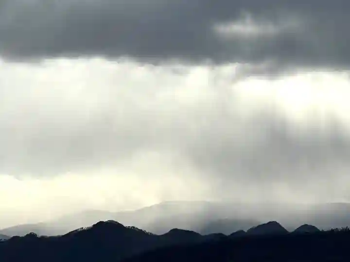 白鳥神社(長野県)