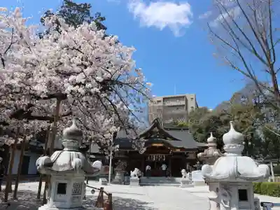 伊和志津神社のその他建物