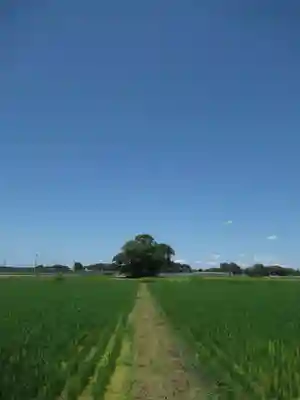 神明神社(千葉県)