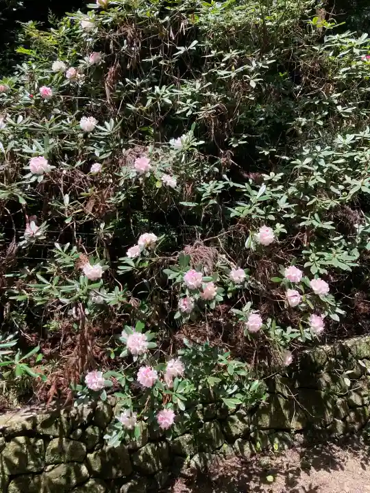 船宿寺(奈良県)