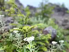 高峯神社(大室神社奥宮)の自然