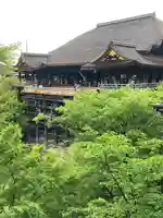 清水寺の本殿・本堂