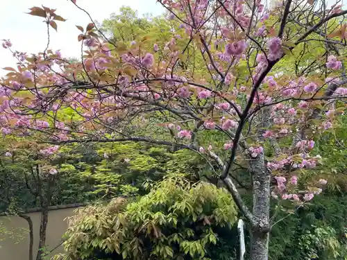 光悦寺(京都府)