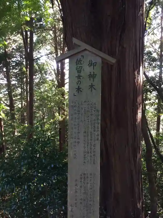 松尾神社の自然