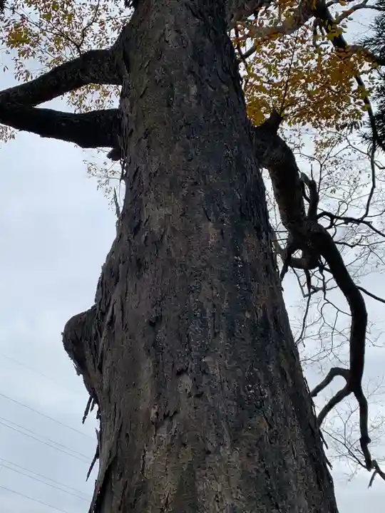 阿久津「田村神社」(郡山市阿久津町)旧社名:伊豆箱根三嶋三社(福島県)
