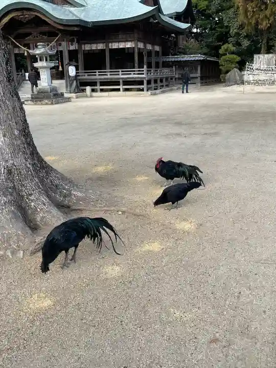 玉祖神社(山口県)