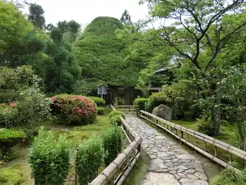 宝泉院の庭園