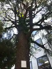 青山熊野神社(東京都)