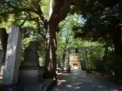 小金井神社(東京都)