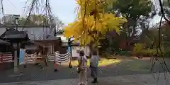 平野神社(京都府)