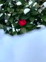 木留神社の自然