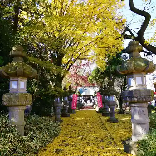 神炊館神社 ⁂奥州須賀川総鎮守⁂の景色