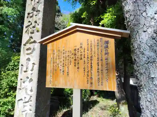 白山比咩神社の{uncategorized: "未分類", other: "その他", undefined: "問題あり", building: "その他建物", grave: "お墓", sacred_gate: "鳥居", guardian: "狛犬", statue: "像", buddha: "仏像", history: "歴史", nature: "自然", garden: "庭園", animal: "動物", pagoda: "塔", temizu: "手水舎", mountain_gate: "山門・神門", sanctuary: "本殿・本堂", subordinate: "末社・摂社", art: "芸術", scenery: "景色", jizo: "地蔵", ema: "絵馬", goshuin: "御朱印", omikuji: "おみくじ", items: "授与品その他", amulet: "お守り", goshuincho: "御朱印帳", eats: "食事", festival: "お祭り", votive_dance: "神楽", shichigosan: "七五三参", wedding: "結婚式", experience: "体験その他", initially: "初詣", around: "周辺", anti_infection: "感染症対策"}