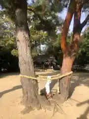 白鳥神社の自然