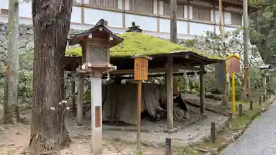大神神社(奈良県)
