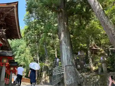 石上神宮(奈良県)