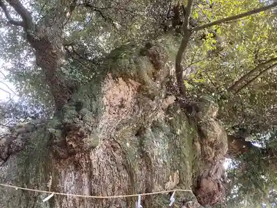 楽法寺（雨引観音）(茨城県)