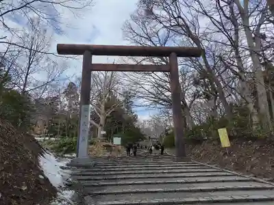北海道神宮の鳥居
