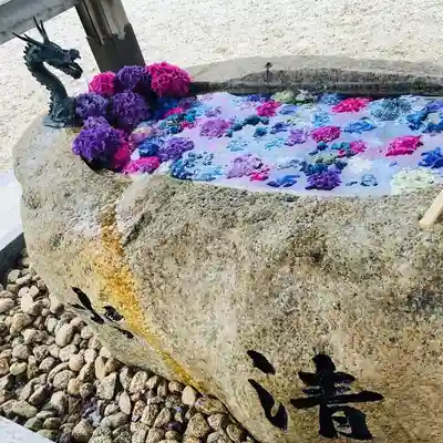 金井神社の手水舎
