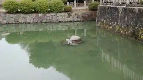 天別豊姫神社の庭園