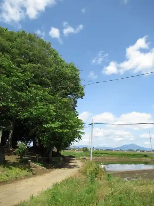 大日霊貴社の周辺