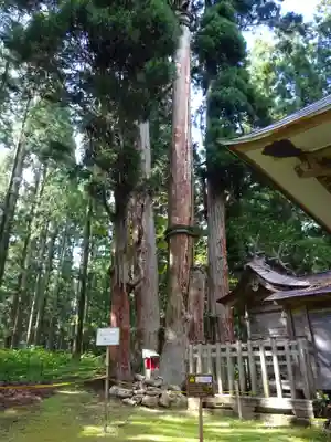 高倉神社の自然