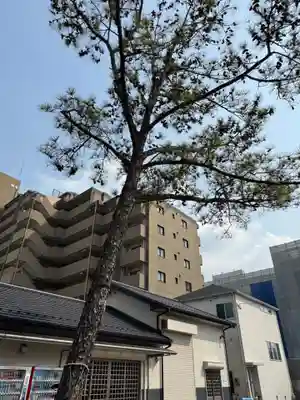 別小江神社(愛知県)