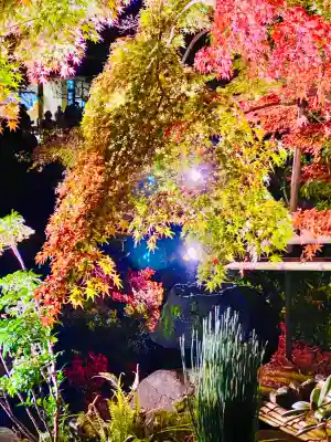 長谷寺(神奈川県)