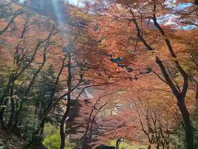 金剛院(京都府)