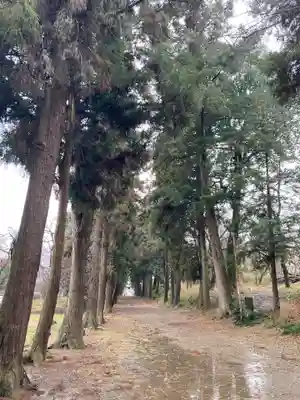 千代ケ岡八幡宮(栃木県)