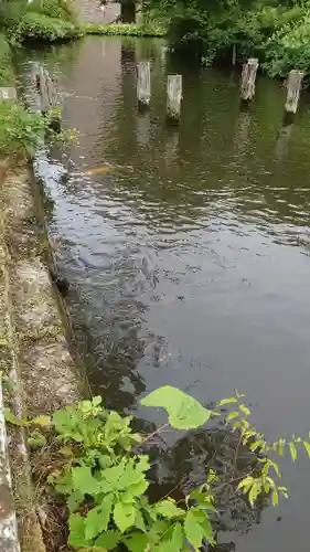 善知鳥神社の動物