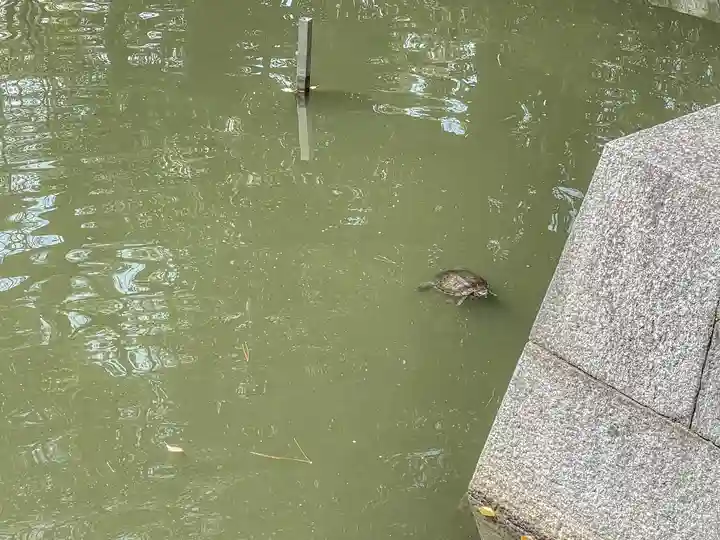 住吉大社(大阪府)