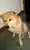 るんこさんのプロフィール画像