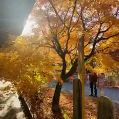 鉾立山天王院(福岡県)