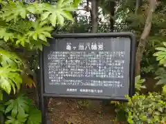 亀ケ池八幡宮(神奈川県)