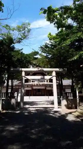 新琴似神社の鳥居