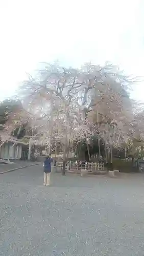 新町御嶽神社(東京都)