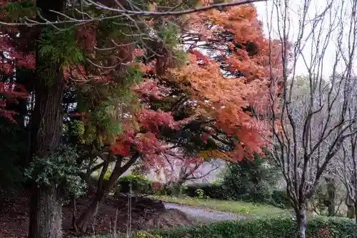 宮地嶽神社(福岡県)