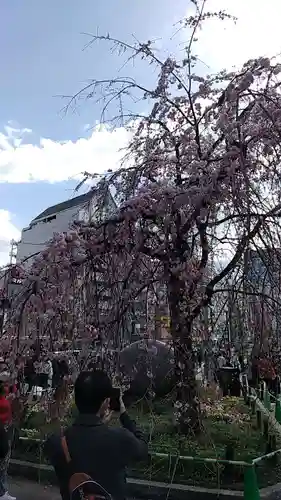 上野東照宮の庭園