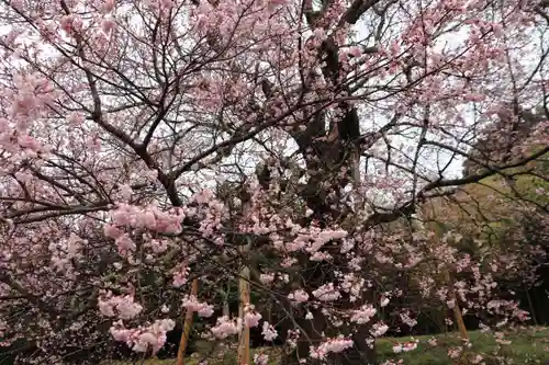 長屋神社の自然