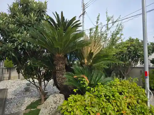 満徳寺(大阪府)