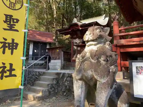 聖神社の狛犬