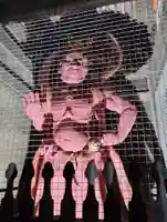 岩殿山安楽寺(吉見観音)(埼玉県)