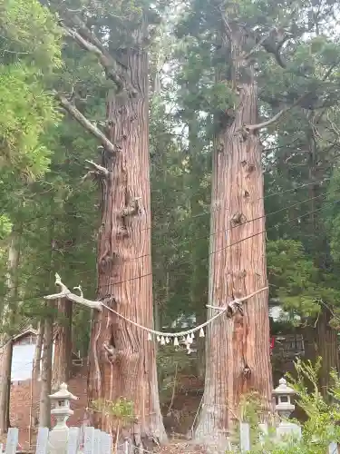 夏井諏訪神社(福島県)