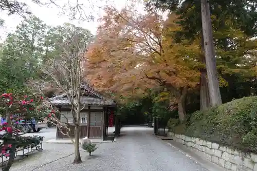 御寺 泉涌寺の庭園