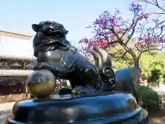 豪徳寺の狛犬